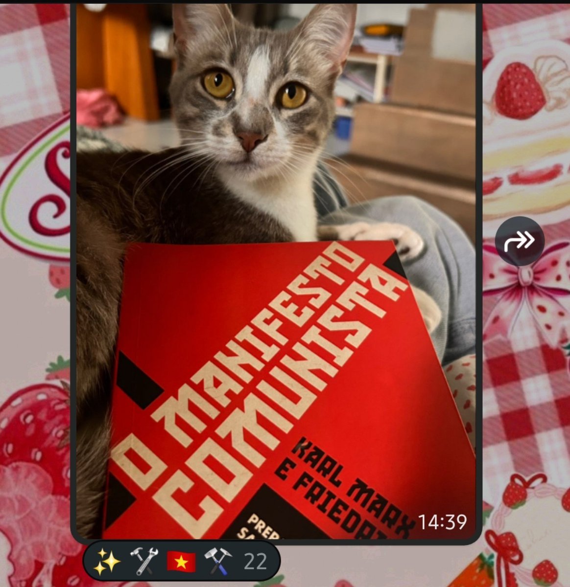 is2firstprince's tweet photo. enquanto isso no grupo de gato https://t.co/4oy4hwRnD3