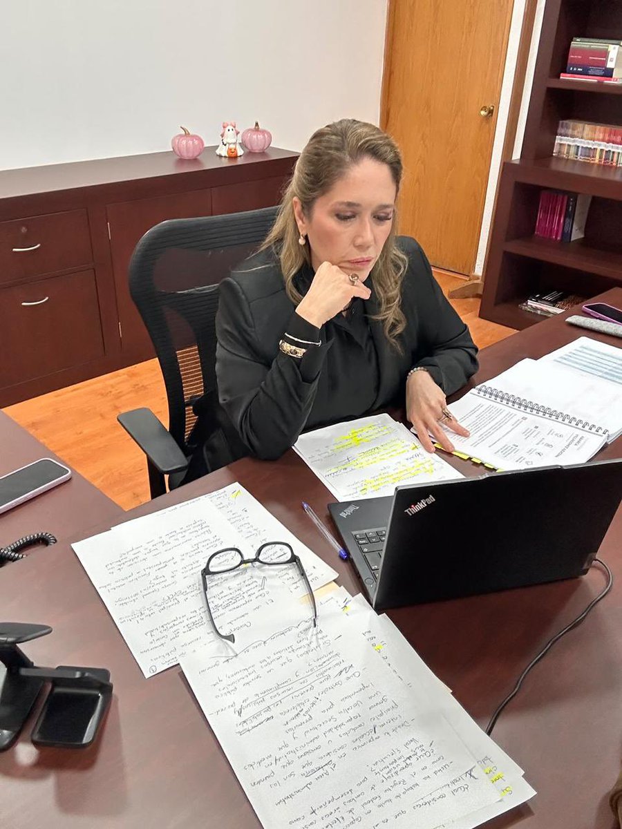 FridaGomezPuga's tweet photo. Hoy participo en las entrevistas para la selección de una Consejería Electoral en Guerrero y Quintana Roo.

Esta etapa permite valorar experiencia, trayectoria y conocimientos de las personas aspirantes, para fortalecer las instituciones electorales con imparcialidad y certeza. https://t.co/FV2OA4TqGI