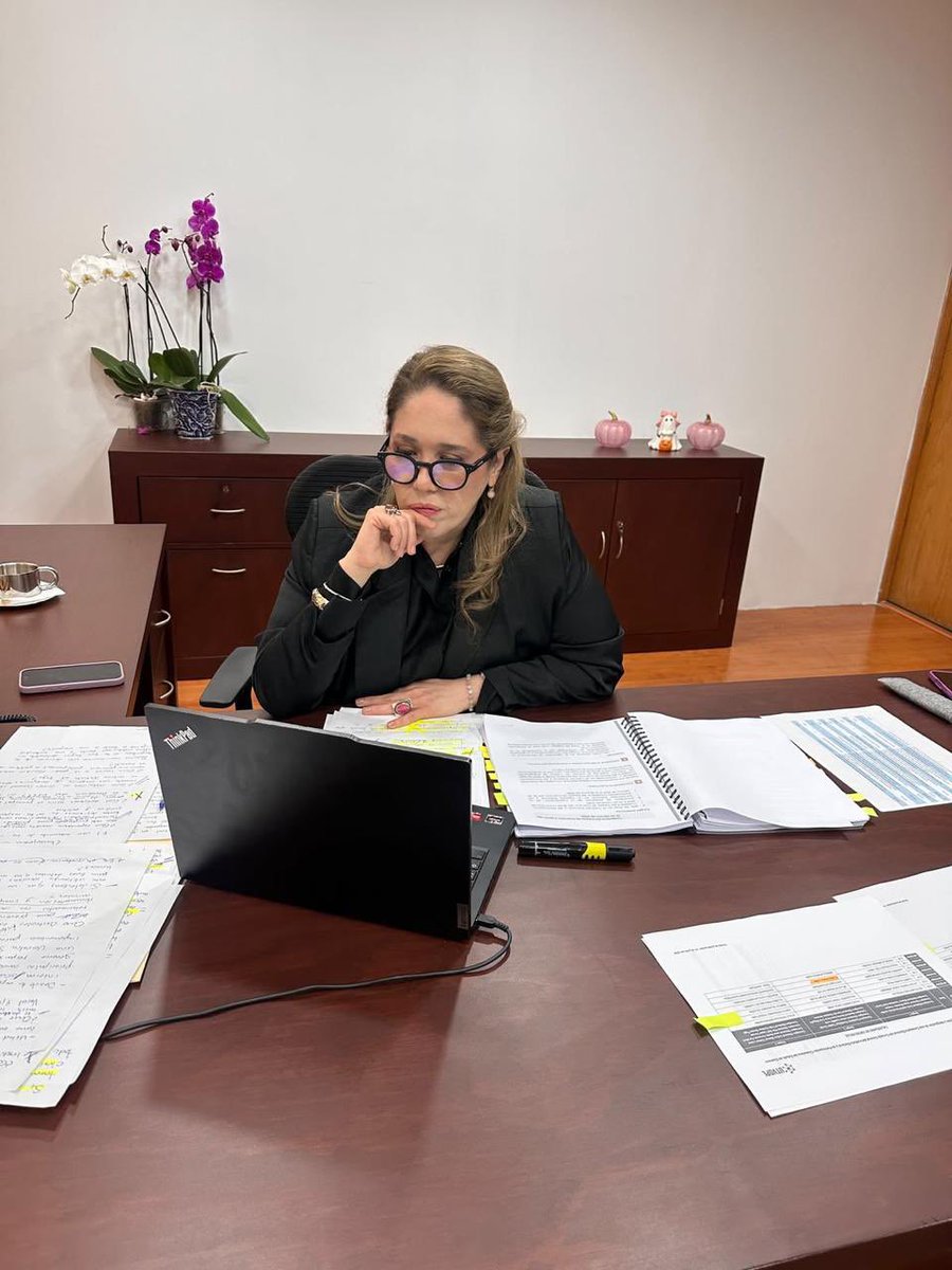 FridaGomezPuga's tweet photo. Hoy participo en las entrevistas para la selección de una Consejería Electoral en Guerrero y Quintana Roo.

Esta etapa permite valorar experiencia, trayectoria y conocimientos de las personas aspirantes, para fortalecer las instituciones electorales con imparcialidad y certeza. https://t.co/FV2OA4TqGI