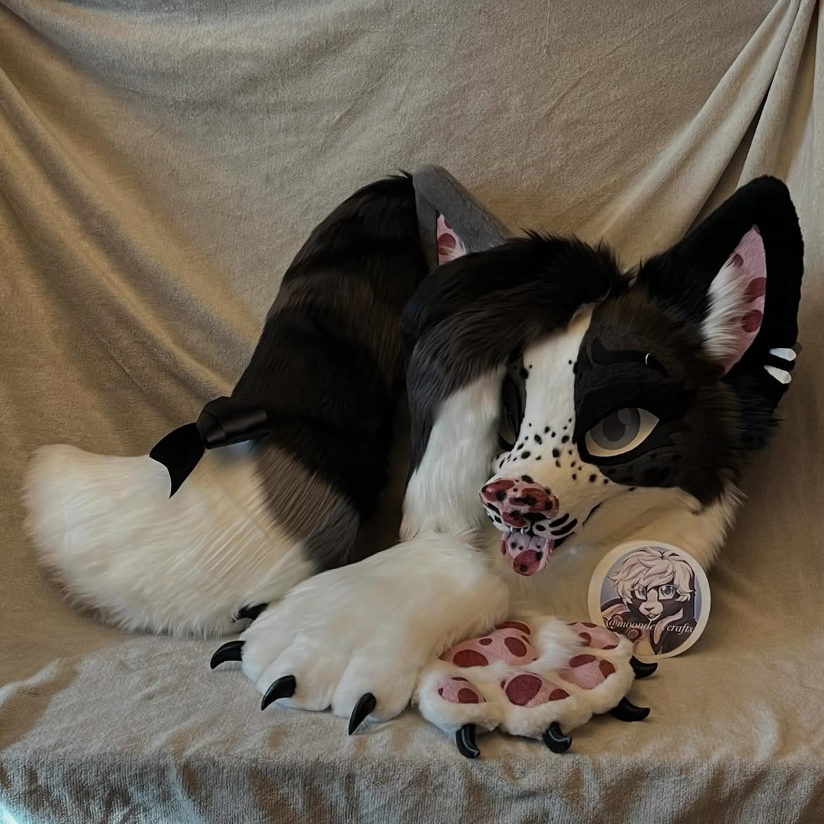 moondeitycrafts's tweet photo. 🩶🖤border collie fursuit mini partial🖤🩶
3D printed eyes, claws, piercings, teeth and base
Handcrafted with lots of love
super soft
Has neck fur
lined
Luxury faux fur
Head, tail and hand paws
#furry #fursuit #fursuitforsale #fursuitmaker #fursuitpartial https://t.co/KBAWng7s5J