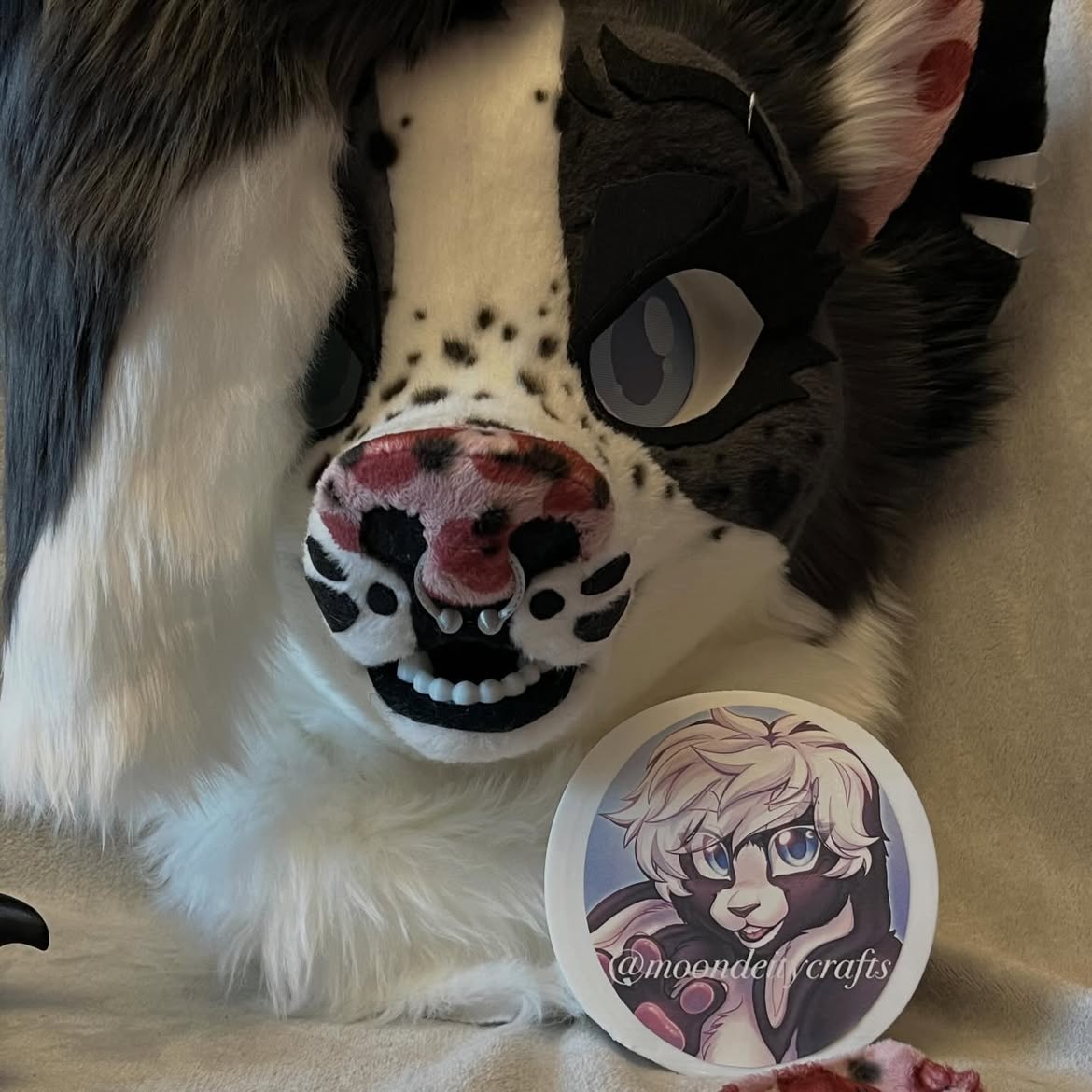 moondeitycrafts's tweet photo. 🩶🖤border collie fursuit mini partial🖤🩶
3D printed eyes, claws, piercings, teeth and base
Handcrafted with lots of love
super soft
Has neck fur
lined
Luxury faux fur
Head, tail and hand paws
#furry #fursuit #fursuitforsale #fursuitmaker #fursuitpartial https://t.co/KBAWng7s5J