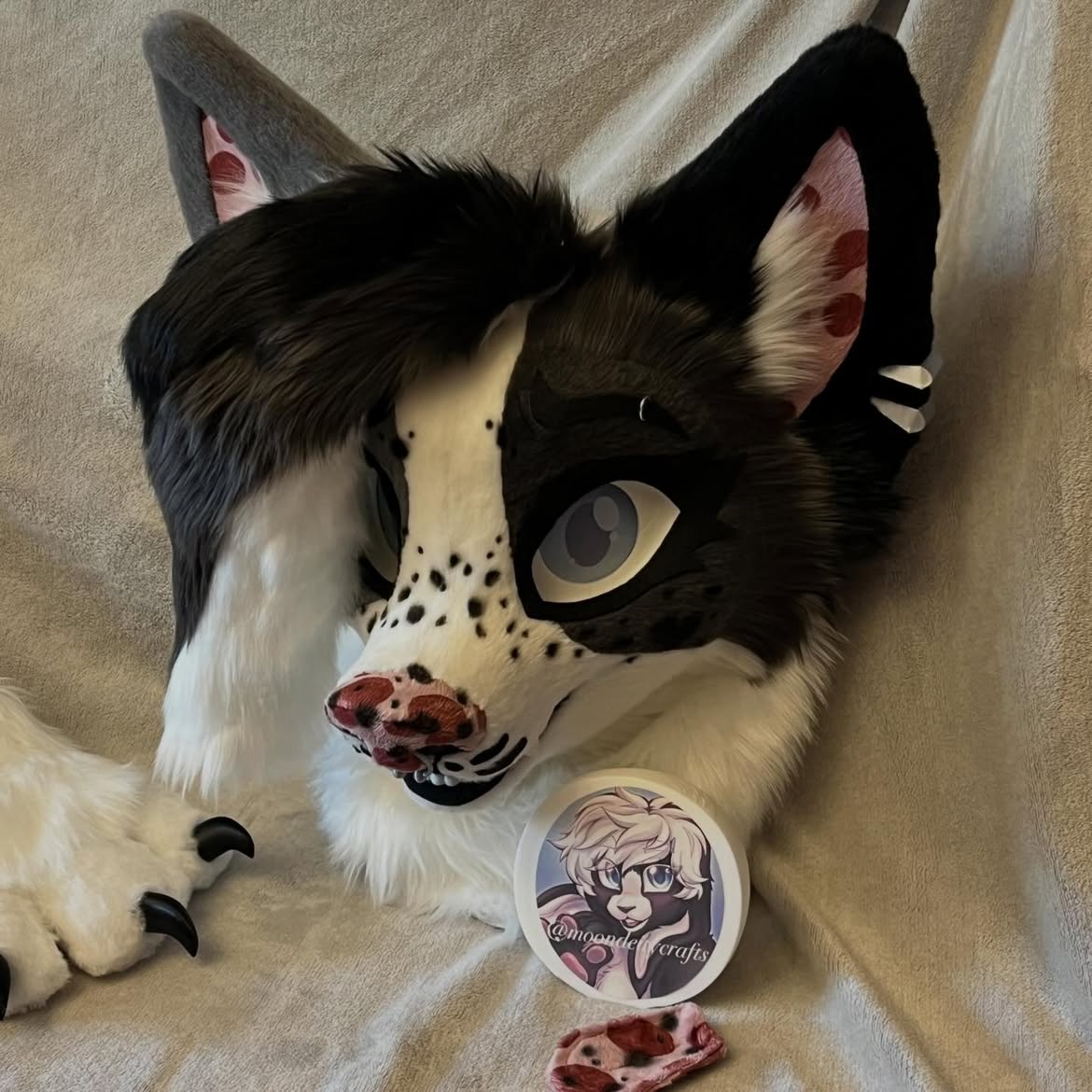 moondeitycrafts's tweet photo. 🩶🖤border collie fursuit mini partial🖤🩶
3D printed eyes, claws, piercings, teeth and base
Handcrafted with lots of love
super soft
Has neck fur
lined
Luxury faux fur
Head, tail and hand paws
#furry #fursuit #fursuitforsale #fursuitmaker #fursuitpartial https://t.co/KBAWng7s5J