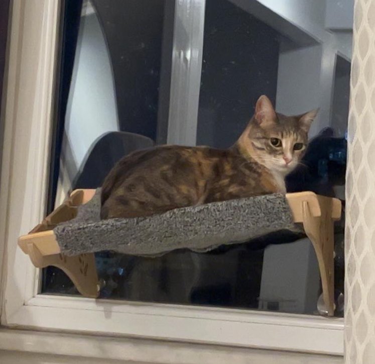hailtothecatss's tweet photo. https://t.co/KnAyXtbdHX
