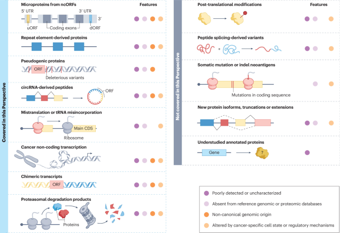 NatureRevCancer's tweet photo. NEW content online! Mapping the functional dark proteome in cancer dlvr.​it/TVqzSx https://t.co/qhh4KH9Lh2