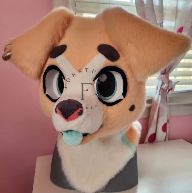 Furstudioo6's tweet photo. Head commission finished!
This guy turned out SO cute 💕 those spotted paws I made a little bit ago are to go with him! eyeblanks are my own.
#fursuitmaker #furryfandom #fursuit #furry #fursuitpartial #fursuitplz #fursuitcommission #fursona https://t.co/88CWdbymoz