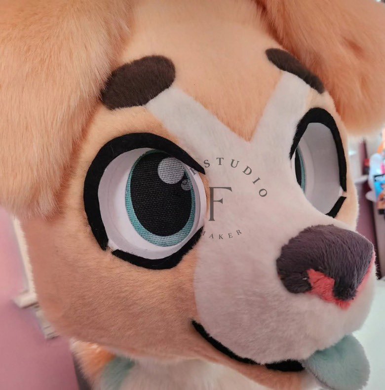 Furstudioo6's tweet photo. Head commission finished!
This guy turned out SO cute 💕 those spotted paws I made a little bit ago are to go with him! eyeblanks are my own.
#fursuitmaker #furryfandom #fursuit #furry #fursuitpartial #fursuitplz #fursuitcommission #fursona https://t.co/88CWdbymoz
