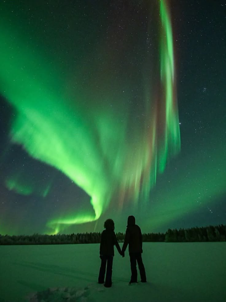 natureaest's tweet photo. 𝐀𝐮𝐫𝐨𝐫𝐚 𝐁𝐨𝐫𝐞𝐚𝐥𝐢𝐬 https://t.co/gUZdvuLPaE