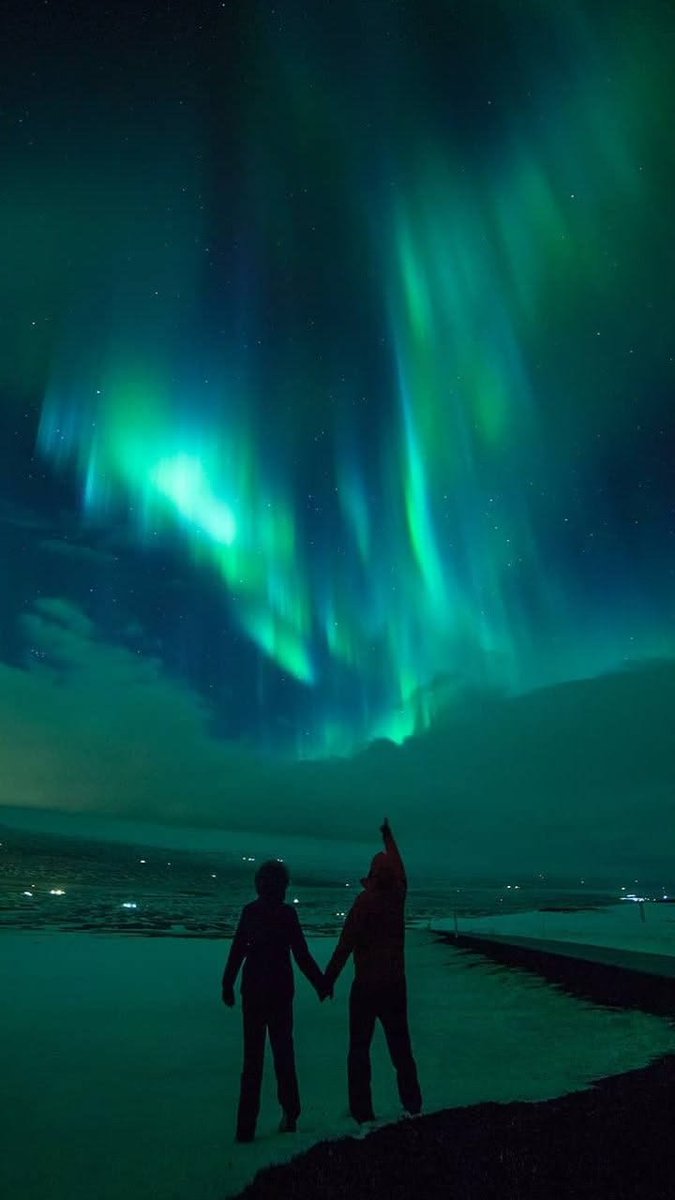 natureaest's tweet photo. 𝐀𝐮𝐫𝐨𝐫𝐚 𝐁𝐨𝐫𝐞𝐚𝐥𝐢𝐬 https://t.co/gUZdvuLPaE
