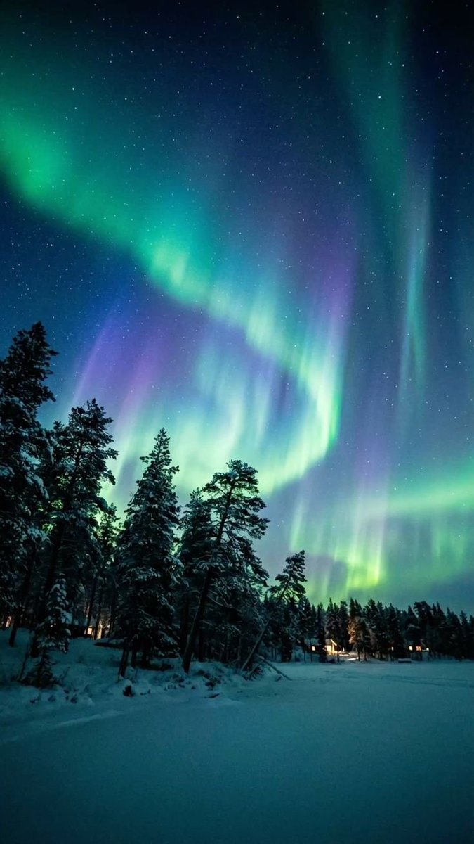 natureaest's tweet photo. 𝐀𝐮𝐫𝐨𝐫𝐚 𝐁𝐨𝐫𝐞𝐚𝐥𝐢𝐬 https://t.co/gUZdvuLPaE