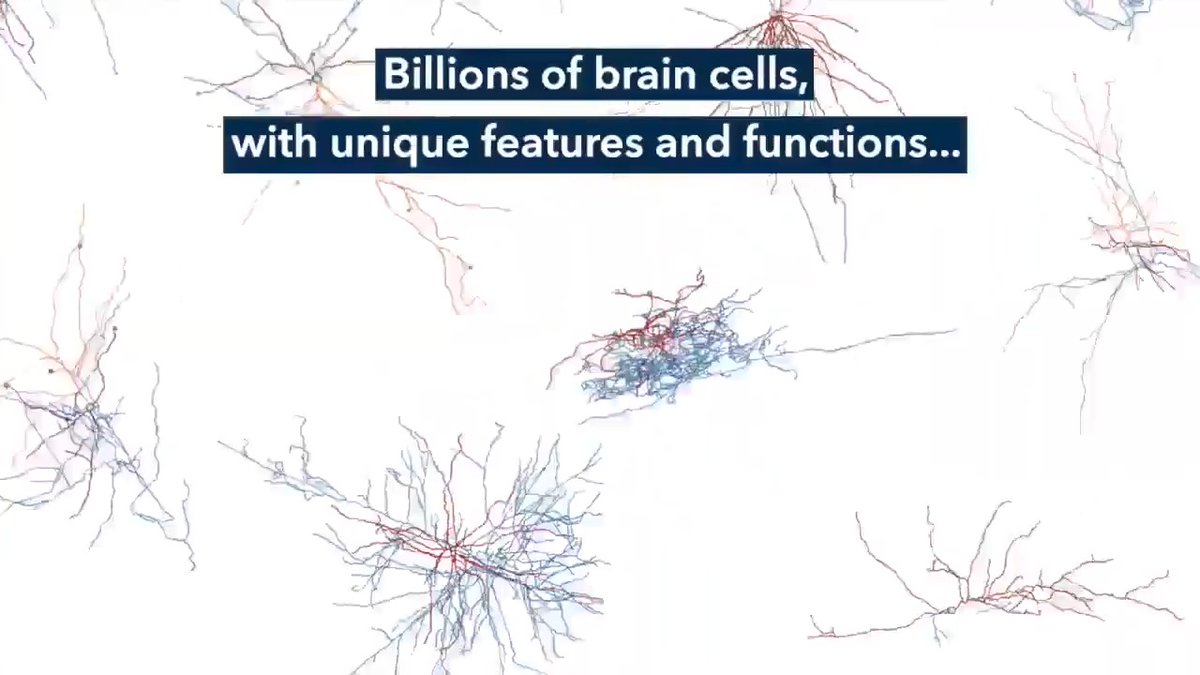 Educational illustration showing watercolor-style brain cells (neurons) with dendritic patterns scattered across a white background, overlaid with text reading 'Billions of brain cells, with unique features and functions...'