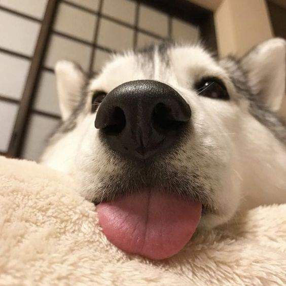 ku6811's tweet photo. 今日という日は、今日しかない。
だからといって気負わず、ただ大切に。
穏やかな一日を。 https://t.co/1GEkaTdwWR