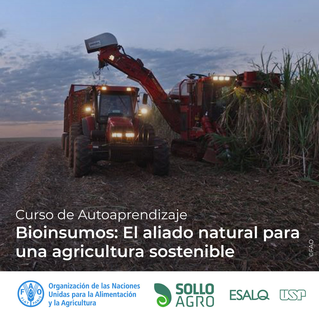 FAOCampus's tweet photo. 📢 ¡Curso gratuito en @FAOCampus!

🌱Bioinsumos: El aliado natural para una agricultura sostenible

Aprende sobre soluciones biológicas que fortalecen el suelo y reducen el uso de insumos químicos.

Inscríbete aquí 👉 https://t.co/gGAmUVgKFL

@ESALQMidias https://t.co/q5E4S6z0wZ