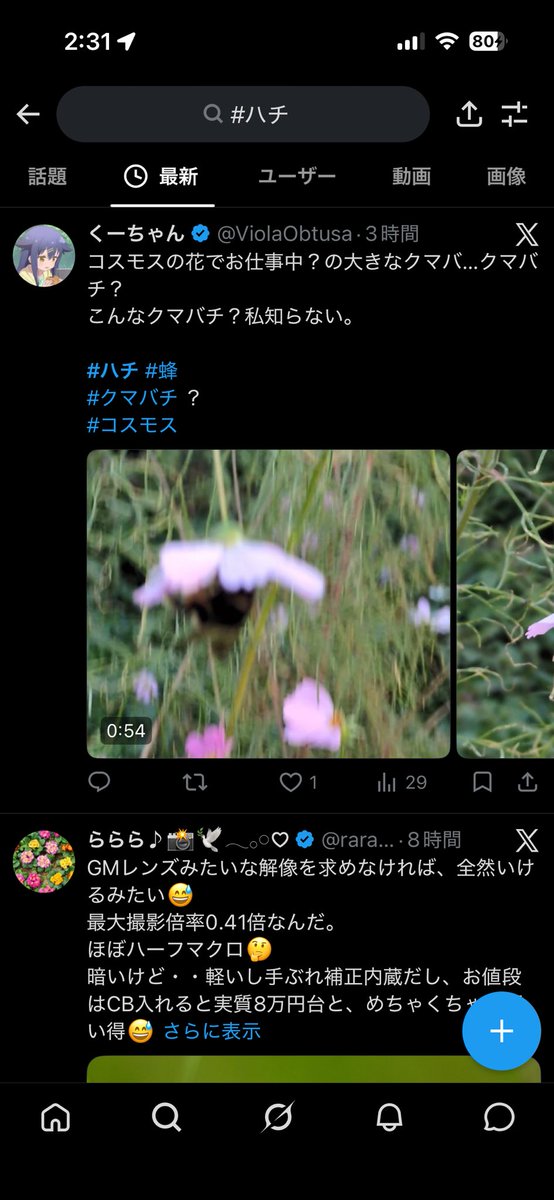nllg5t's tweet photo. ボカロPや歌い手さんの活動名のタグで検索するといろんな界隈できますけどこれってタグ被りじゃないんですか？ https://t.co/dR6li5mA38