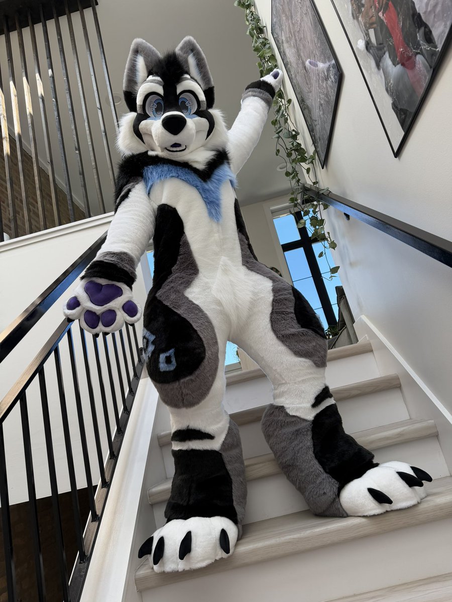 ThePhoenixNest_'s tweet photo. Woof woof im a wolf! Completed commission 💙 https://t.co/bZGFNUkLBy