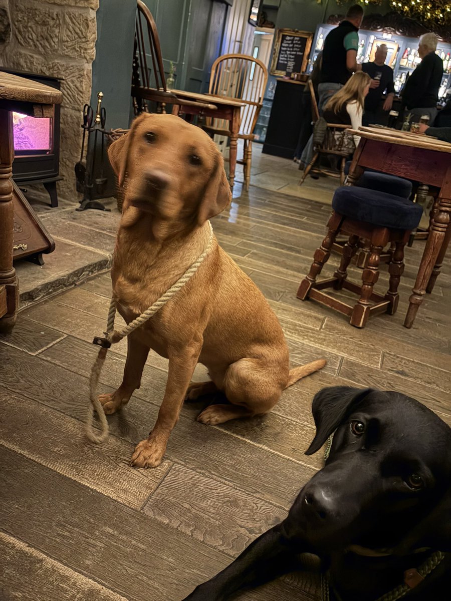 TravellingLoad1's tweet photo. Hey @UKLabour tonight I am sat in a pub on the North Yorkshire Moors. I have two labs, a bar full of gamekeepers, a log burner roaring and a great atmosphere. This is the England I know, have always known and want to preserve. And there are millions more like me. https://t.co/hDho54rbJz