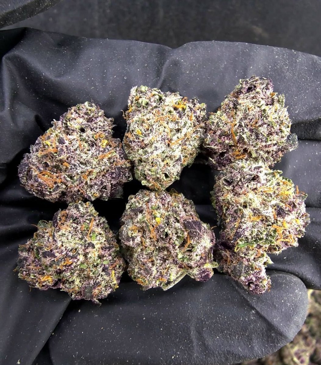 wlab__'s tweet photo. 過嚟叫爸爸請你smoke good shit https://t.co/qaa19oUcaQ