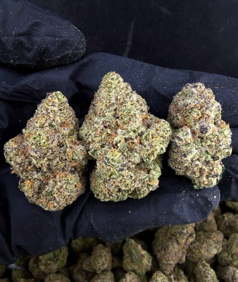 wlab__'s tweet photo. 過嚟叫爸爸請你smoke good shit https://t.co/qaa19oUcaQ