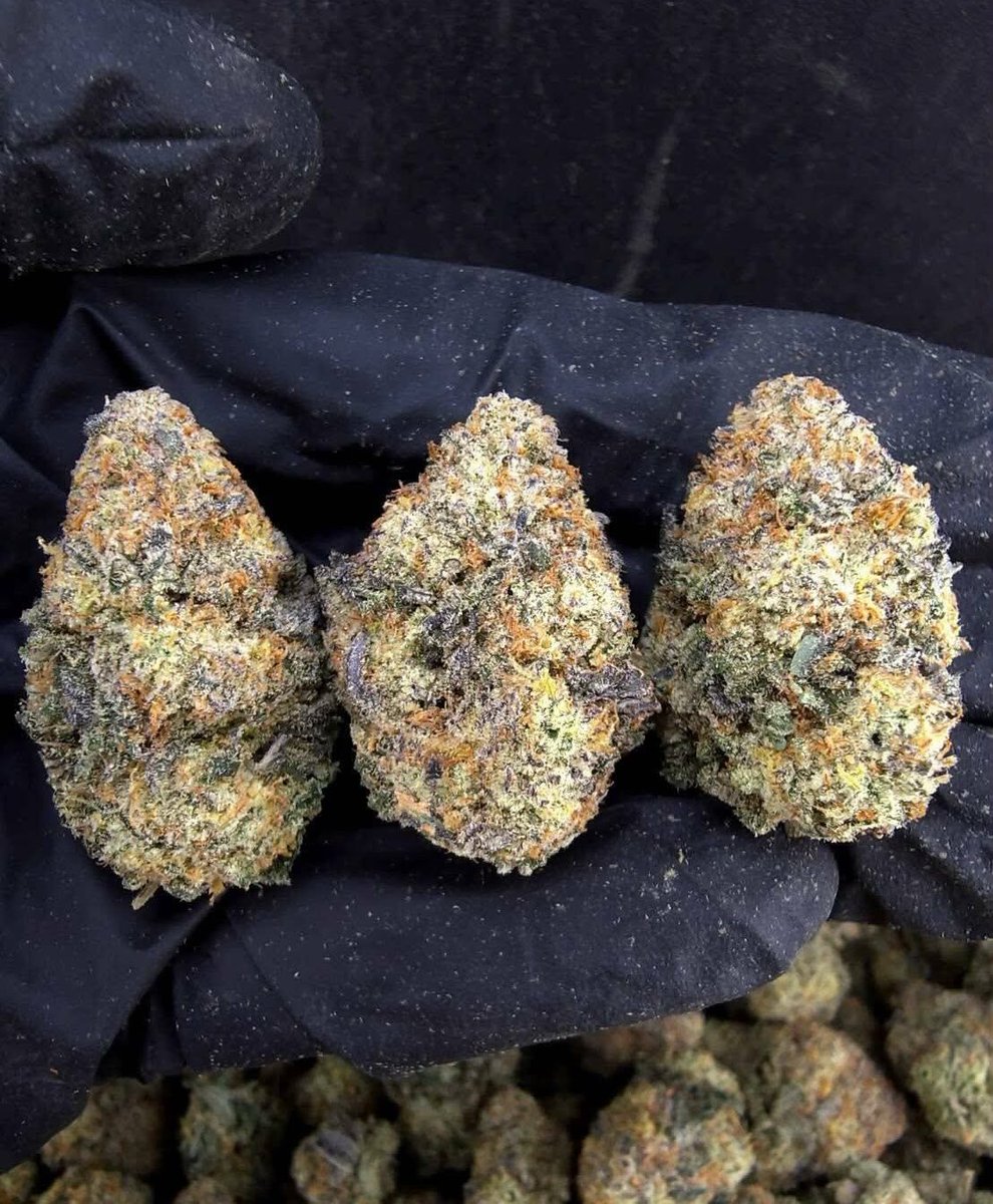 wlab__'s tweet photo. 過嚟叫爸爸請你smoke good shit https://t.co/qaa19oUcaQ