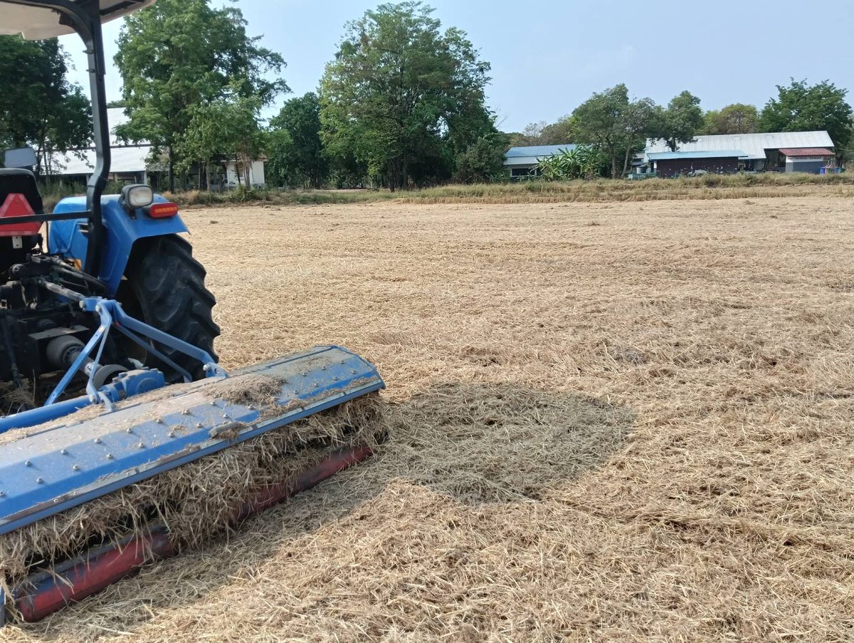 CNHIndustrial's tweet photo. Around 4.8 million tons of rice straw are burned every year in central Thailand. 🌾

Thai rice farmer Pichai Tosa tried a different approach. Using a New Holland TT3.50 tractor and mulcher, he chopped post-harvest rice straw instead of burning it — returning organic matter to the soil and reducing emissions.

"New technologies and innovations have come in, giving us better options." — Pichai Tosa

Read the full story from CNH's A Sustainable Year series:
https://t.co/hhSKy5C0Fc

#CNH #NewHolland #Sustainability