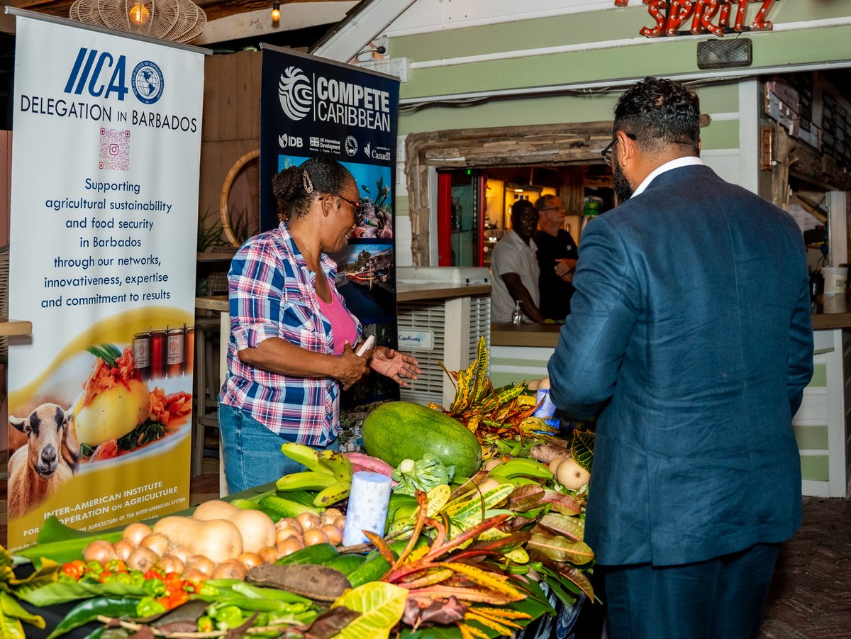 CanHCBarbados's tweet photo. High Commissioner H.E. Brenda Wills recently celebrated the launch of the #BajanHarvestHub, which Canada supports through Compete Caribbean🌱Connecting local farmers to tourism businesses means market opportunities, strong local supply chains &amp; better use of Barbadian produce🍅🥕 https://t.co/mBUSkWKpaw