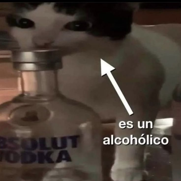 unamierdadvida's tweet photo. Yo https://t.co/WMKizmOsh0