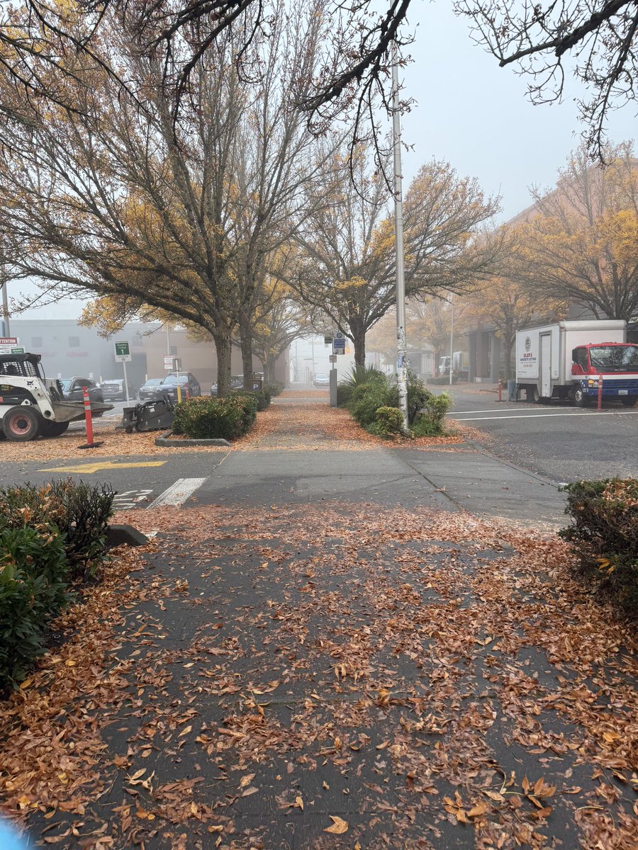 f1rewalk_withme's tweet photo. seattle looking mad spooky this morning https://t.co/9JW9ORTh1q