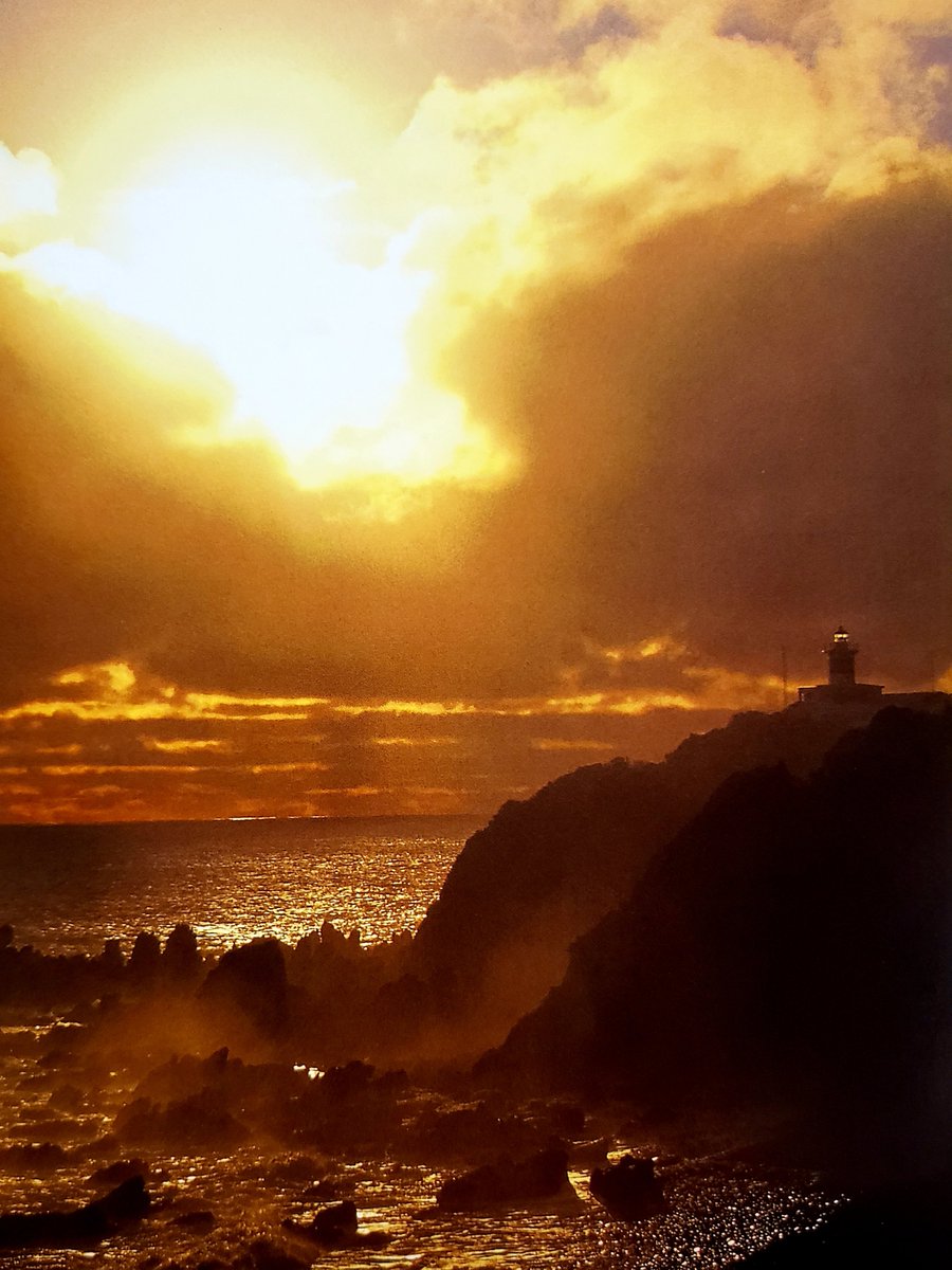 gcodinad's tweet photo. @Havenlust https://t.co/M7P3FD7ut9