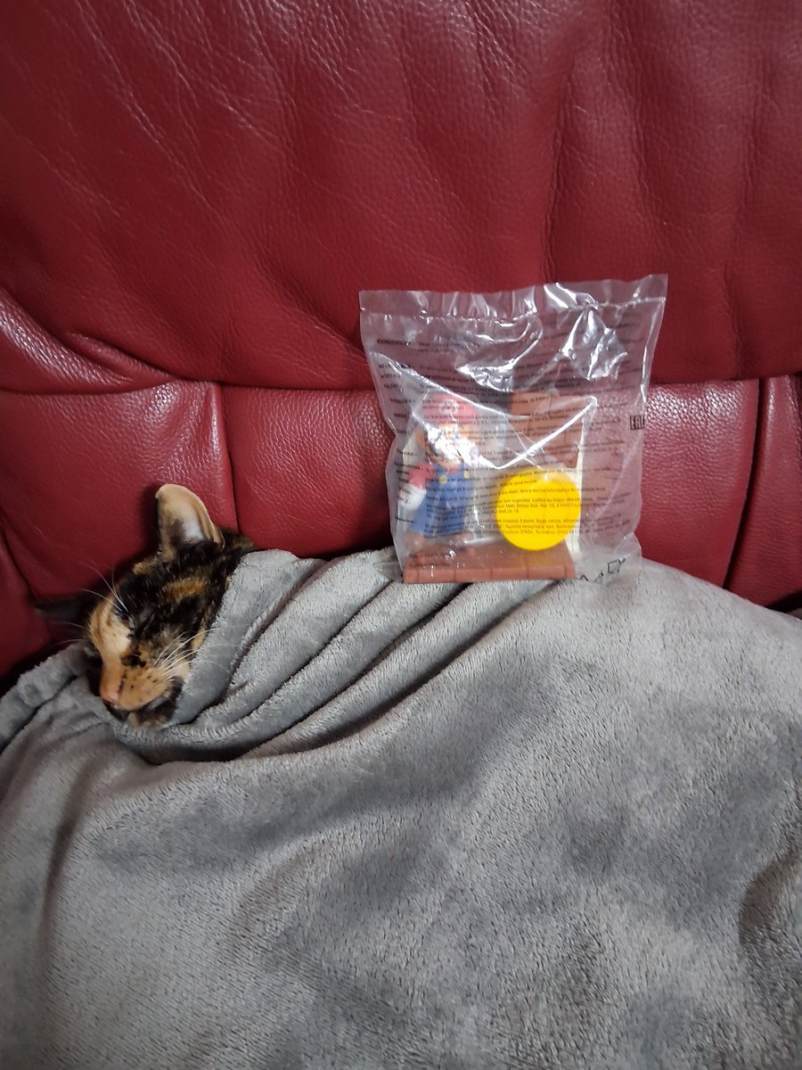 HorderCat's tweet photo. Is kammy hording a bagd mario from mackdons https://t.co/2HXSunuYgY