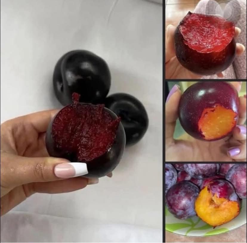Nexiraluv's tweet photo. Plums are so underrated 😩😮‍💨🤤 https://t.co/jzNabtEXhL