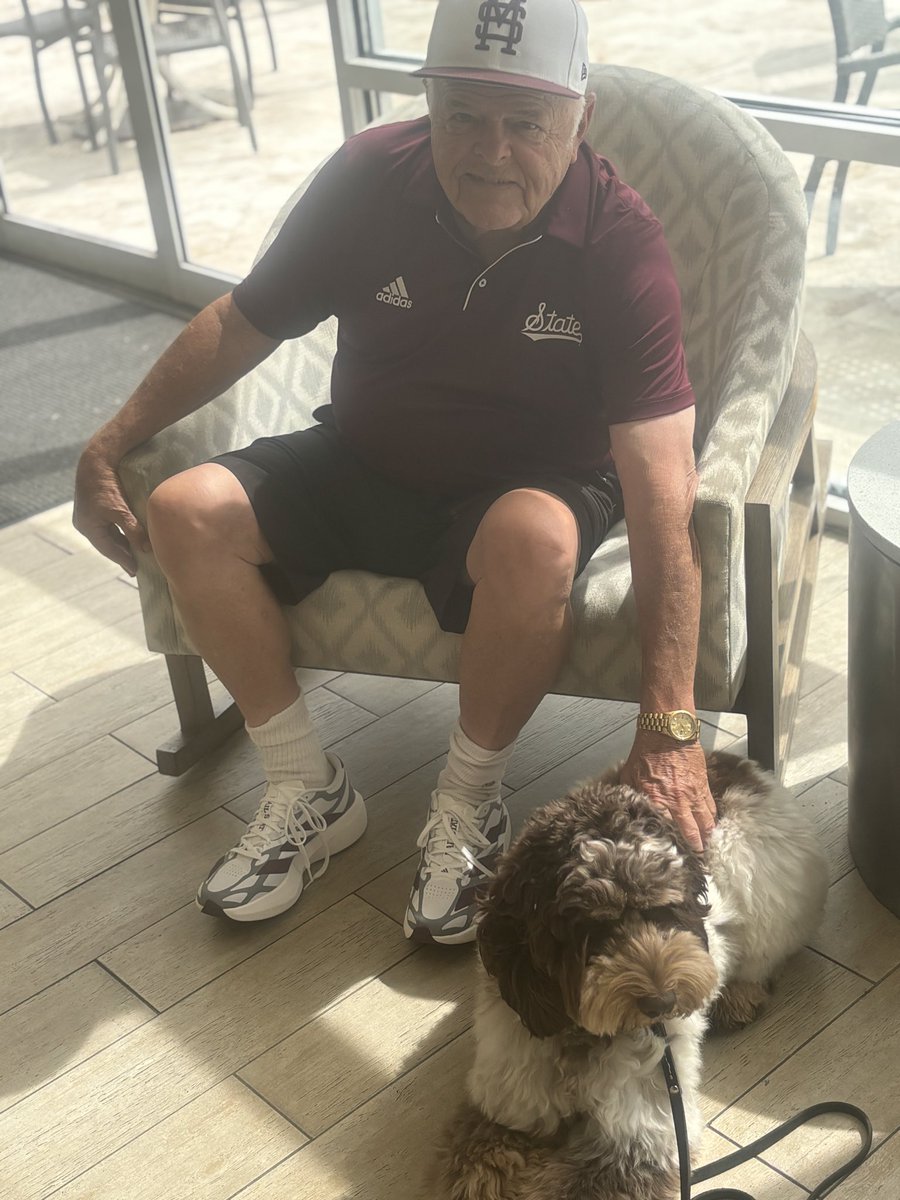 Dogbusdriver's tweet photo. New addition to the Polk family. Trained to be a cigar retriever. https://t.co/JVsrng3OeD