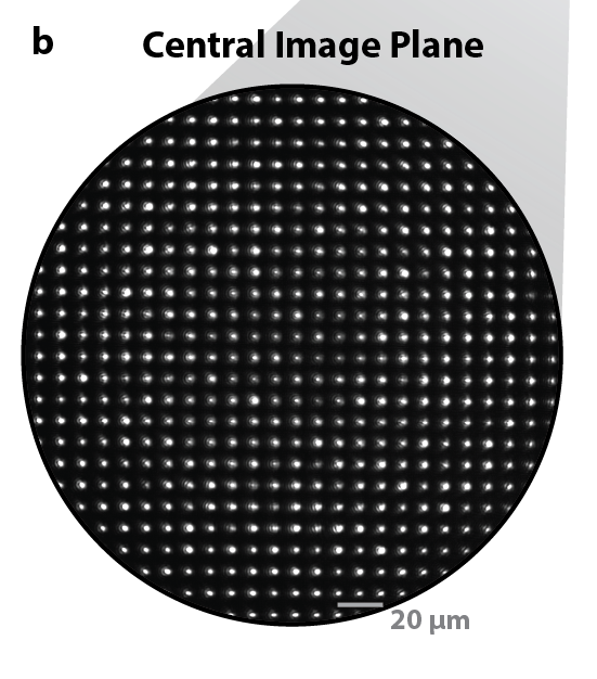 PhysRevX's tweet photo. Researchers built a next-generation cavity-array microscope with 600 tiny light-trapping cavities designed to interface with large atom arrays. The advance could enable faster, larger-scale quantum networks.

📄 https://t.co/NXhnfqyYzF https://t.co/uSk8Cp0yvH