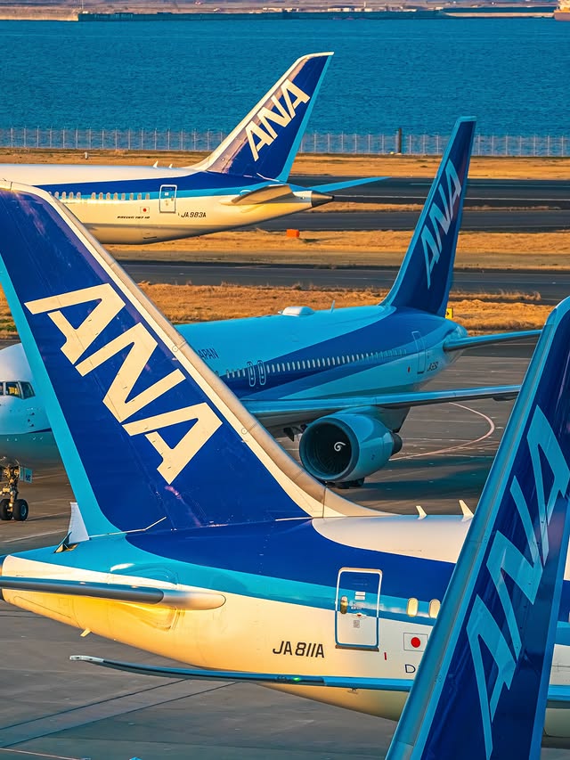 FlyANA_official's tweet photo. Our fleet, ready for the next departure. 💙✈️

Thanks IG user hinata_yanagawa 

#AllNipponAirways #FlyANA https://t.co/UjnmJ61lSh