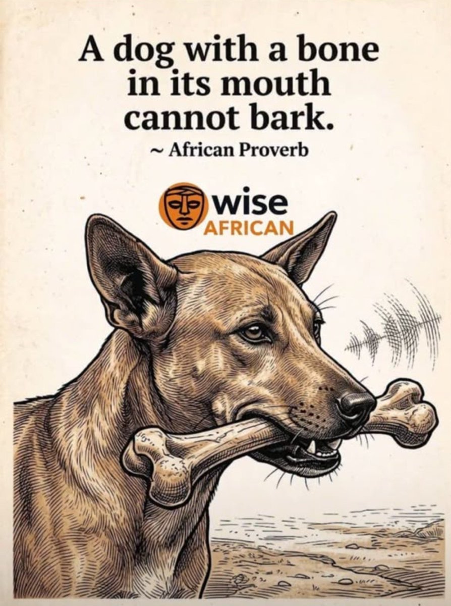 pshegs's tweet photo. This post is not about the dog or the bone. https://t.co/WCTC0EOMSL