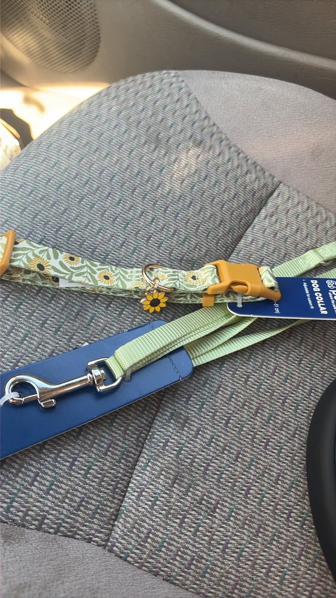 pretty_boy2008's tweet photo. Guess who’s got his own collar and leash now >_< https://t.co/edOretHctc