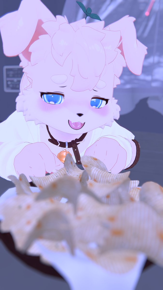 arumaren_vrc's tweet photo. ド深夜まで起きて、お菓子をむさぼりぽちゃるワンコ https://t.co/3CNML4zrFK