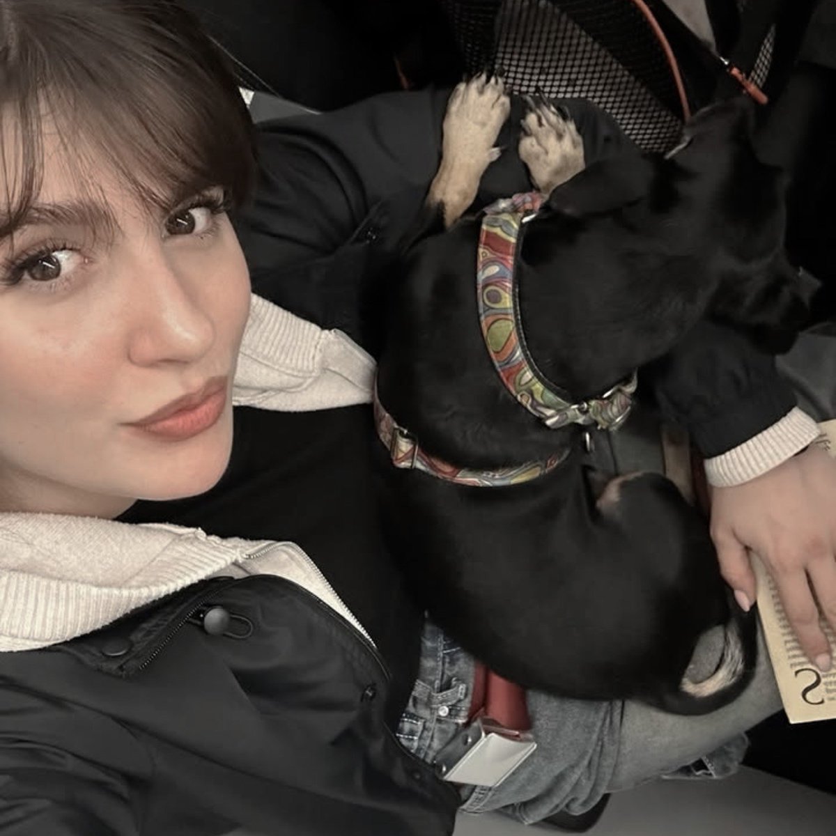 feridecengizzz's tweet photo. ᅟᅟᅟᅟ
ᅟᅟᅟ⋆˚꩜｡ #taşacakbudeniz: e bi dump ile başlangıcı yapmayayım mı? https://t.co/XCWJBr97aI