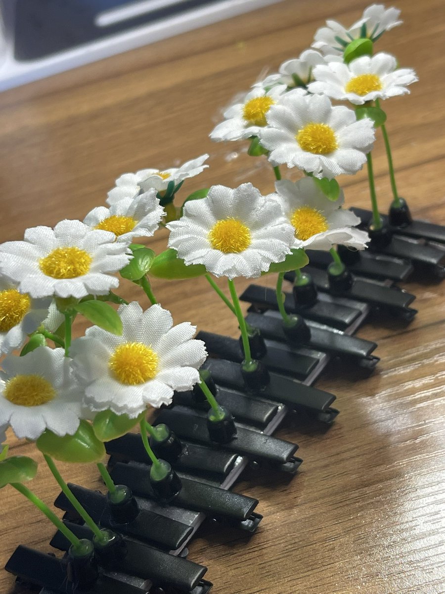 elosunvrs's tweet photo. Universe in Korea for PENTAGON’s 10th Anniversary! I’ll be handing out daisy hair clip freebies on both days that were all handmade by me and I’ll also be handing out PENTAGON photocards! I’ll try to post where I am through the day!

#PENTAGON #UNIVERSE #Pentagon10thAnniversary https://t.co/uLX6P9xYZO
