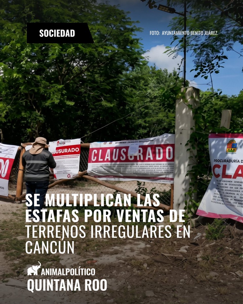 AP_QuintanaRoo's tweet photo. 🚨 Se multiplican las estafas por ventas de terrenos irregulares en Cancún.

Autoridades alertan que 18 de cada 20 desarrollos inmobiliarios en la periferia operan con anomalías o carecen de permisos oficiales. https://t.co/1NLOD4BTCU