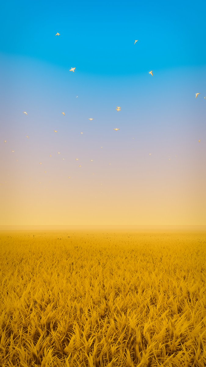 RedPanda_VRC's tweet photo. World: Ethereal Plane
Author: Kireya
Link: https://t.co/4bvtkOGWkn
#VRChat #VRChatPhotography
#VRChat_world紹介 #RPandaLens https://t.co/pic7ipuBzP