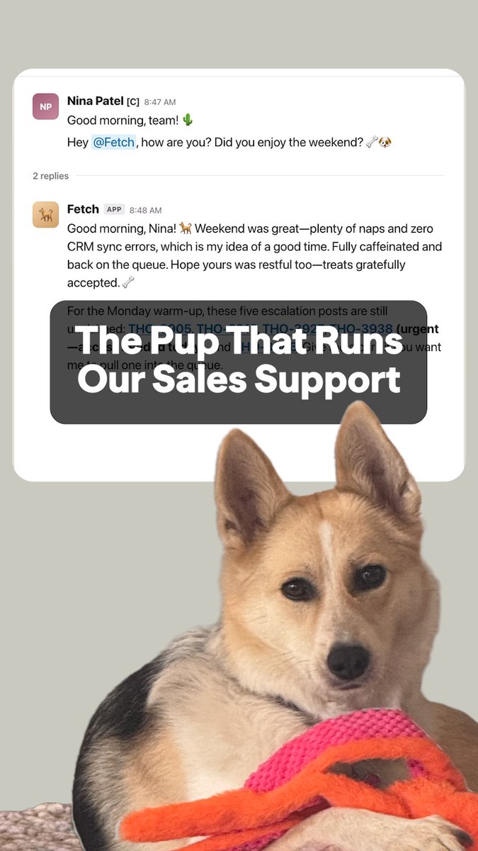 A promotional image featuring a Shiba Inu dog with a pink and orange rope toy, overlaid on a Slack conversation between Nina Patel and Fetch about a Monday warm-up, with text reading 'The Pup That Runs Our Sales Support'.
