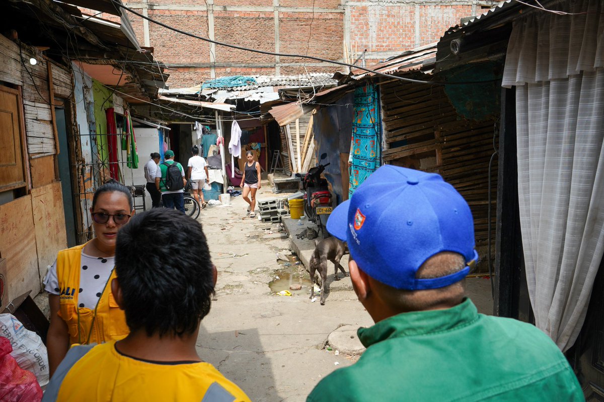 ALEXCAMINA's tweet photo. Porque renovar a Cali no es solo transformar espacios, es reconstruir tejido social, recuperar la confianza y devolvernos el orgullo de ser caleños.

 Con trabajo en equipo, compromiso y mucho amor por nuestra ciudad, seguimos recuperando a Cali bajo el liderazgo de @alejoeder https://t.co/H5KJ55OEbM