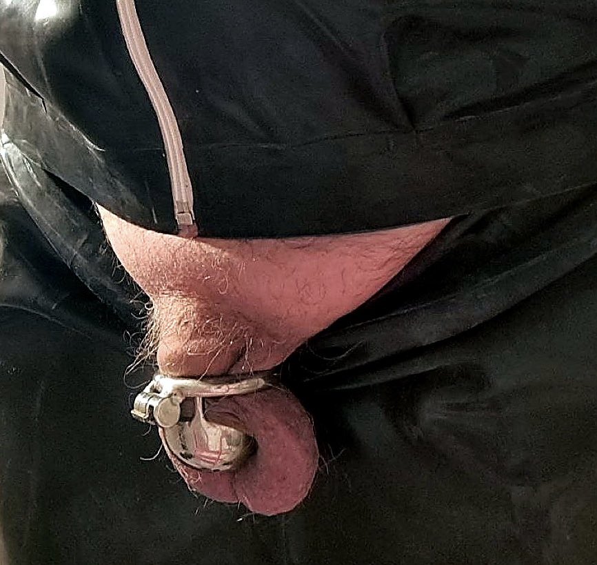 MaskedMasterBE's tweet photo. Week two. Same lock. Same property.
@rubberschlampe didn’t start Locktober. It was already caged when I took it, years ago, steel already on the dicklet, rubber its uniform. October isn’t a challenge for this thing. It’s just another month it stays owned.
Every week it posts proof of the cage. This week’s fagtax climbs €2 for every like, comment, and repost on this pic. You stare, you boost what it owes Me. It still pays.
November is not a release date. The key was never its to ask for. 🖤💰 cage stays. wallet opens. ALL for MA$TER.