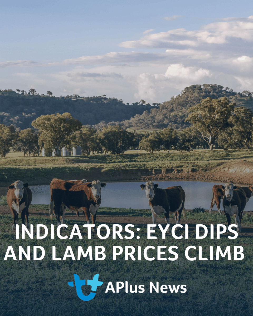 AuctionsPlus's tweet photo. It’s that time of the week when we check in on some key indicators of performance in the livestock markets.

READ ARTICLE: https://t.co/hrh4qIMlGn https://t.co/udGsNsBI6b