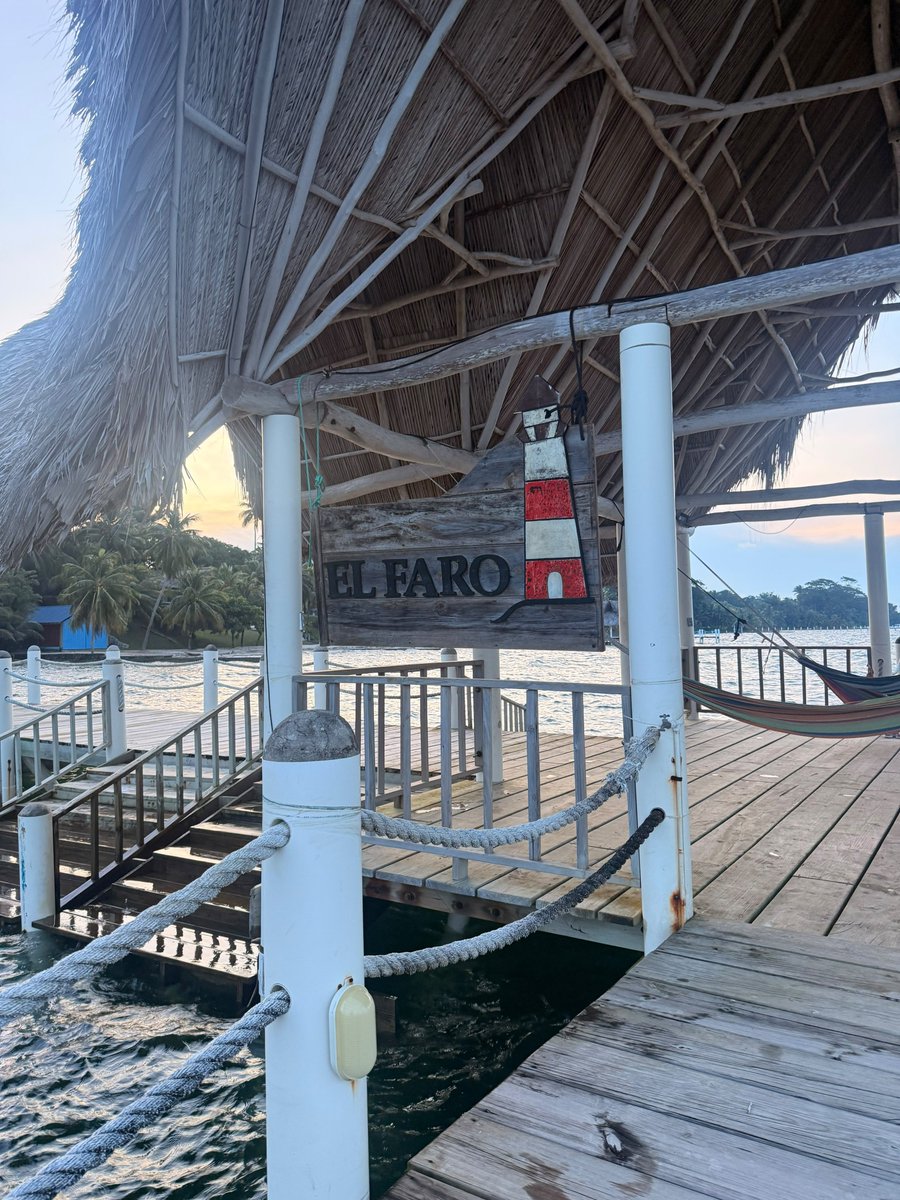 flalvarez_'s tweet photo. Happy place ✨️🌴 https://t.co/M65r9mGwyP