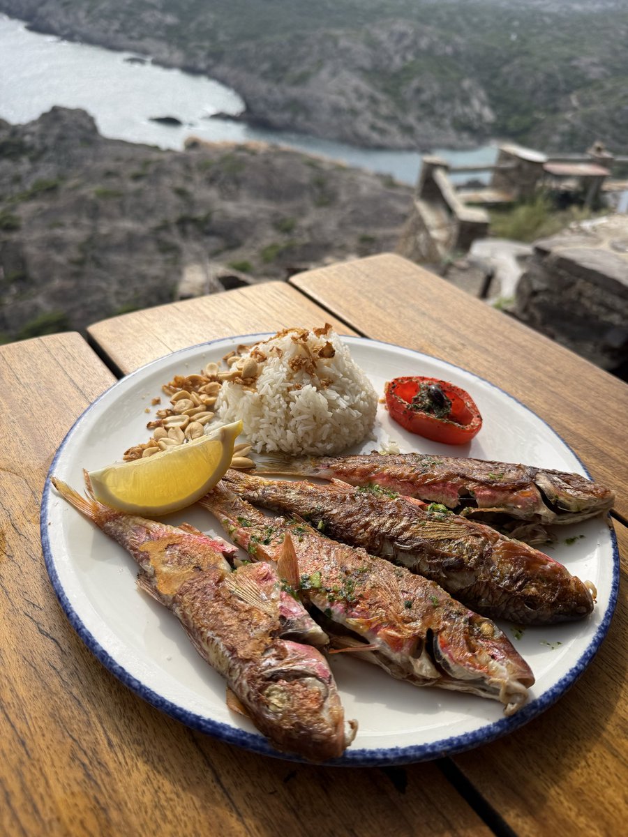 flogemba's tweet photo. Cap de Creus 🌊

🐟 Varios platos donde el pescado y el producto del mar fueron los grandes protagonistas, acompañados de 30.70 2025 de Celler Hugas de Batlle, un vino del Empordà elaborado con Garnatxa Blanca y Moscatel de Alexandría. 🍷

Y este paisaje… poco más que añadir. ✨ https://t.co/18pY9LJ1h4