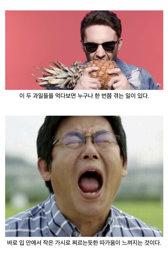 laterinfo_'s tweet photo. 아하! 그러니까 내 입안이 연육 당하고 있었던거구나? https://t.co/BRivytzjAz