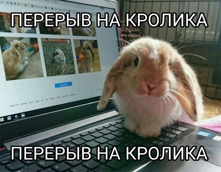 DelarkNellian's tweet photo. Теперь хоть отдохну спокойно, и поделаю людям мозги. https://t.co/YMnbVVc5Yv