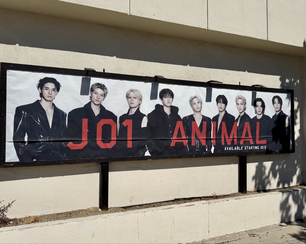 hello82LA's tweet photo. JAM, don’t cage your inner ANIMAL just yet!
JO1 “ANIMAL” is still in-stock at hello82 LA 🐾

📆 Now Available On-Site
📍 @hello82LA

@official_jo1
#JO1 #JO1_ANIMAL #hello82 #hello82LA https://t.co/RA6fJ30ZV6