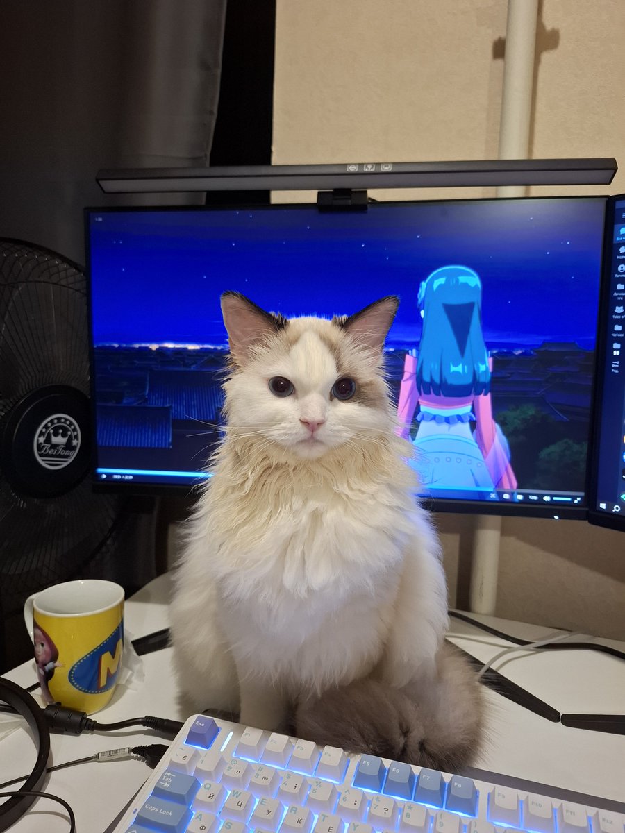 Sayumikko's tweet photo. Мне кажется, кто-то намекает, что хватит на сегодня аняме https://t.co/6nQXE3ReG2