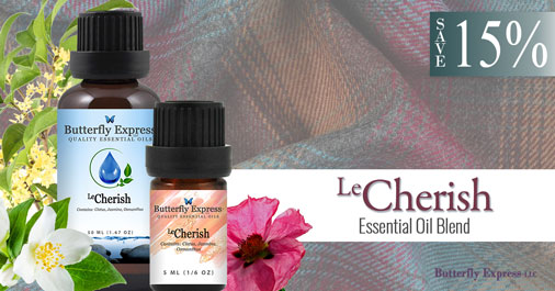BEessentialoils's tweet photo. Your reproductive health journey is about more than your body. It’s also about how you feel along the way.  

https://t.co/QL2q5bsXUx
#ButterflyOils #EssentialOils #October2026 #ReproductiveHealth https://t.co/1MCB8wDZ2H